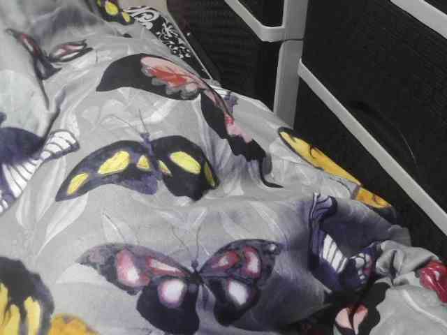 Cassiee webcam
