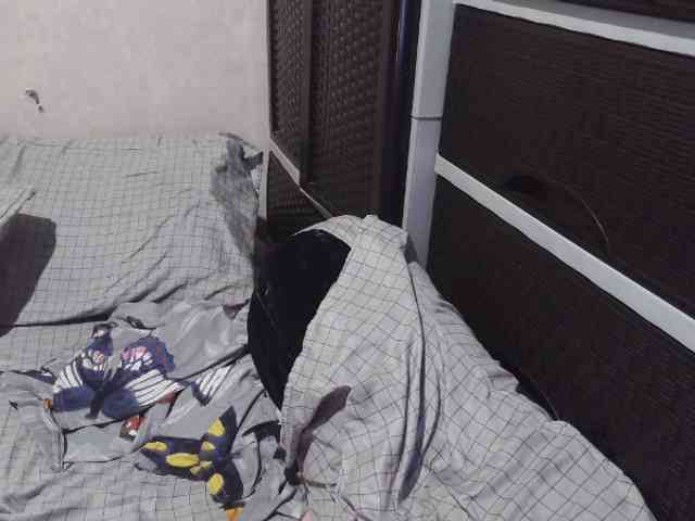 Cassiee webcam