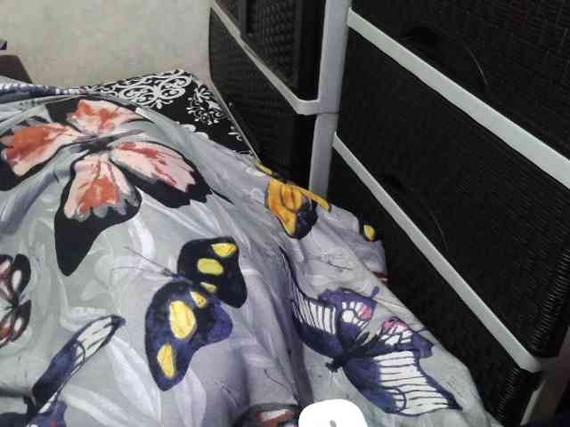 Cassiee webcam