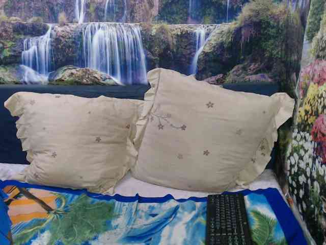Indianaqua webcam