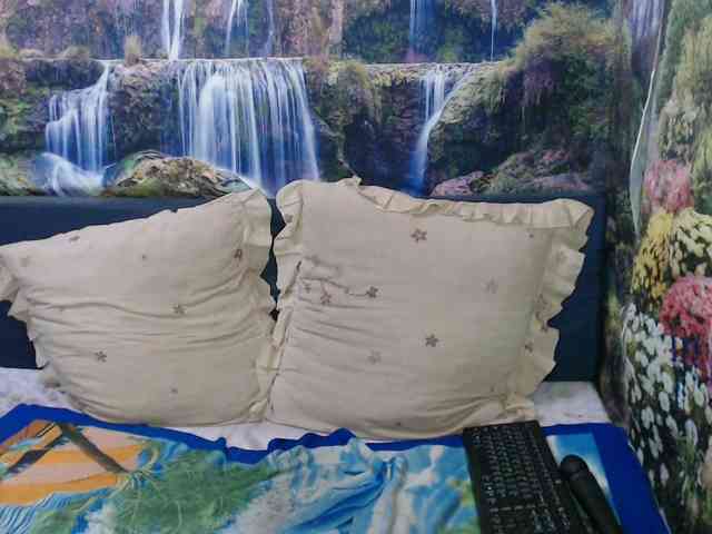 Indianaqua webcam