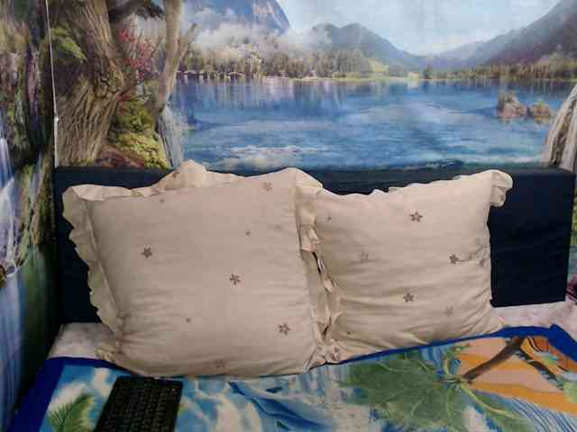 Indianaqua webcam