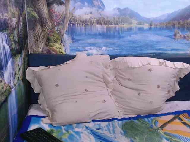 Indianaqua webcam