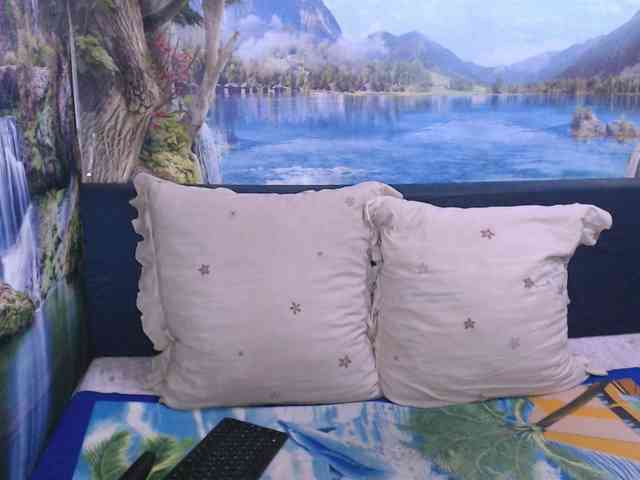 Indianaqua webcam