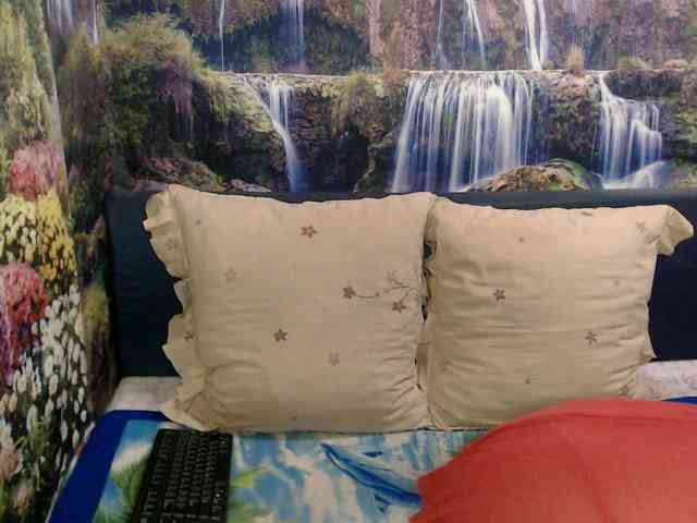 Indianaqua webcam