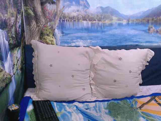 Indianaqua webcam