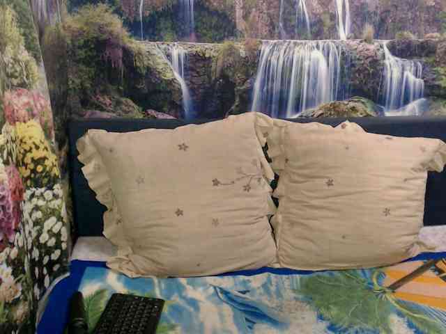 Indianaqua webcam