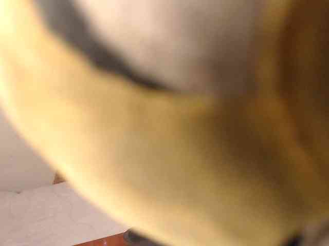 agathamiller webcam