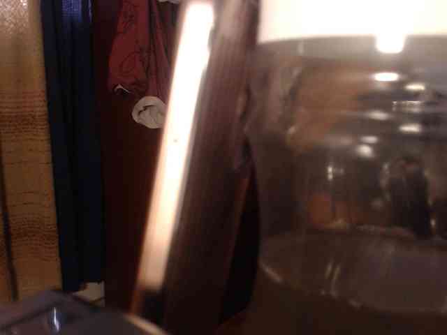 agathamiller webcam
