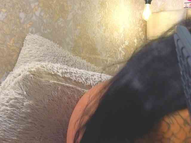 EmilyQueen3xx webcam