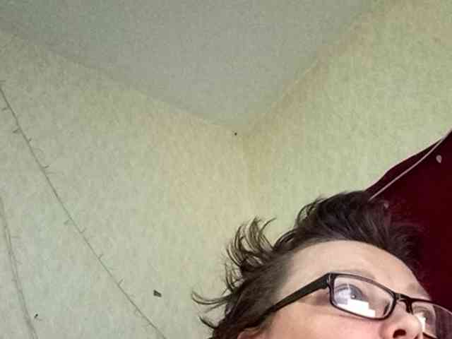 pyshechka1 webcam