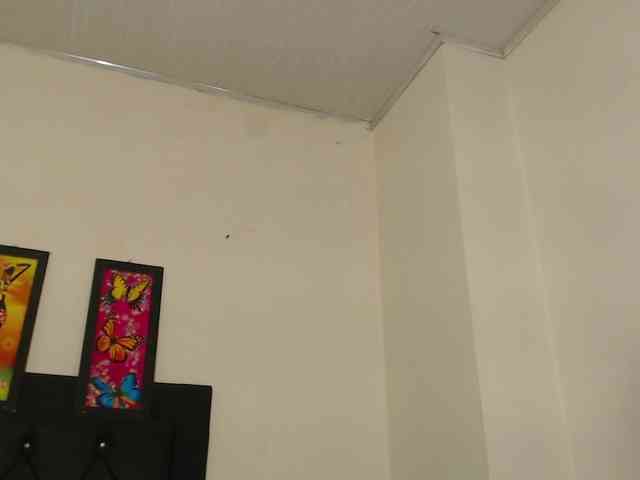 angelicatsx Sex Cam Show