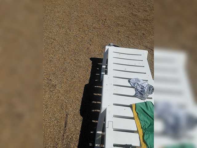 GLAMYR252