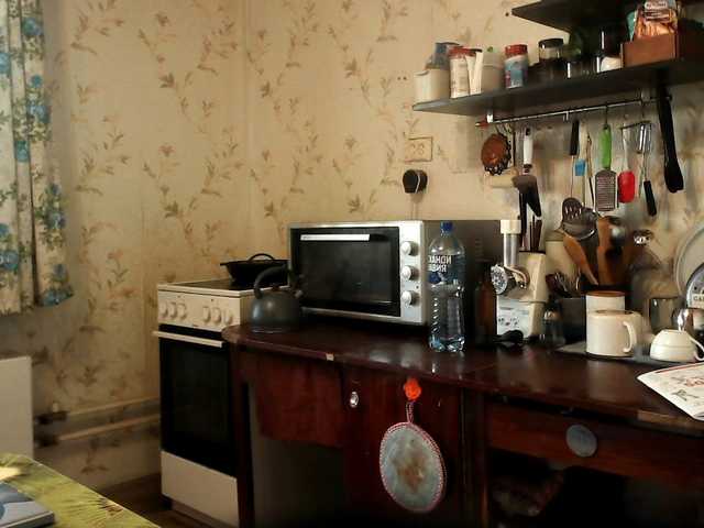 berry252 live webcam show