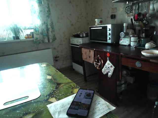 berry252 webcam