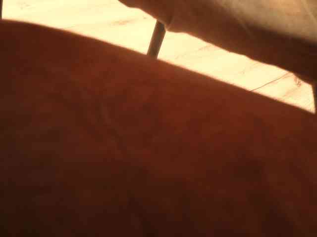 berry252 webcam