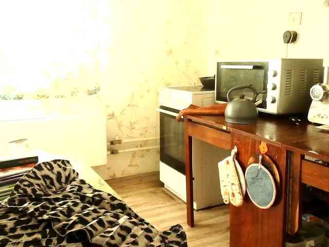 berry252 webcam