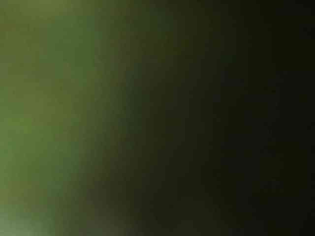 berry252 webcam