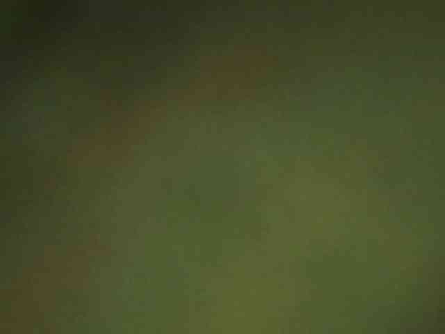 berry252 webcam