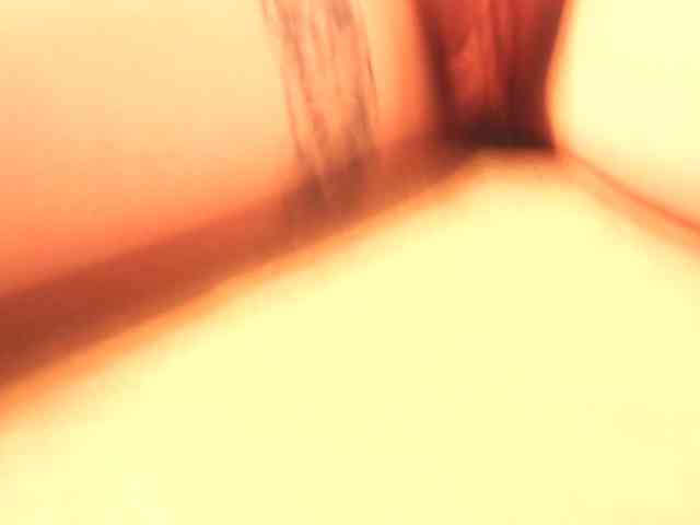 berry252 webcam