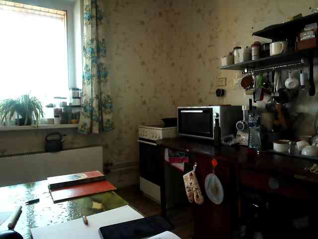 berry252 webcam