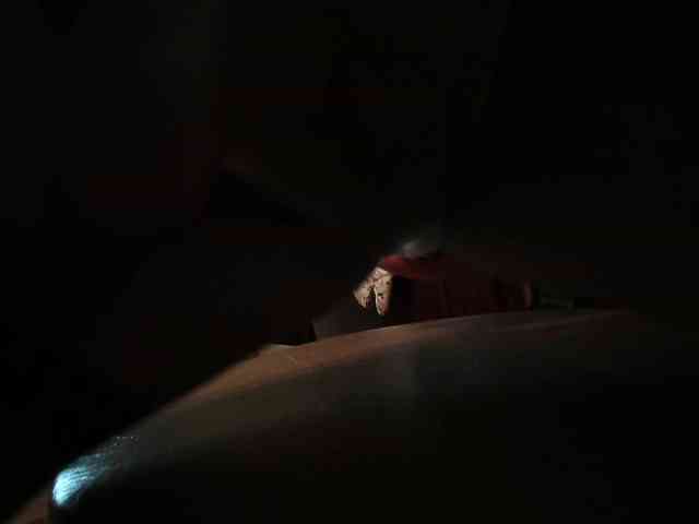 berry252 webcam