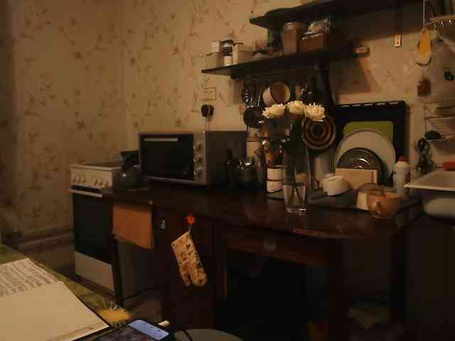 berry252 webcam