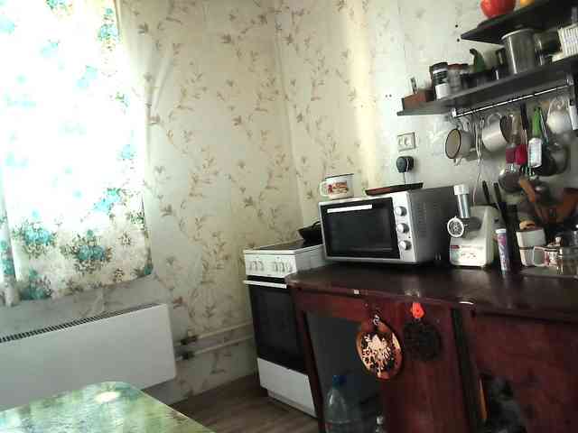 Модель: berry252