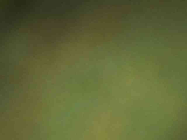 berry252 webcam