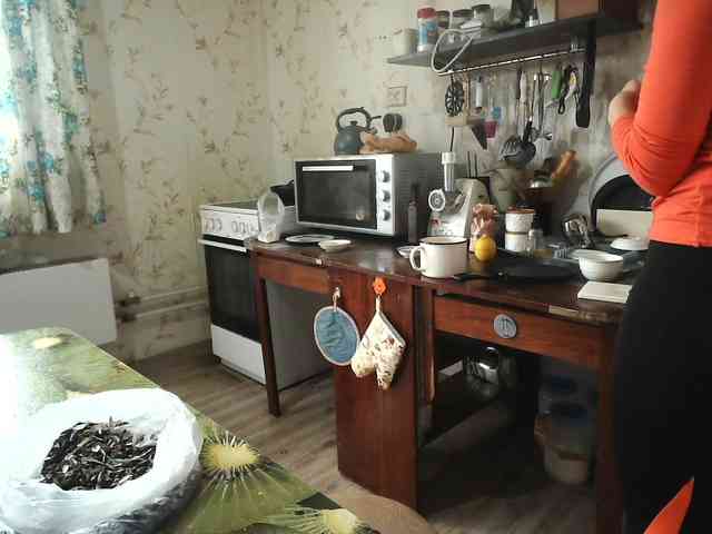 berry252 webcam