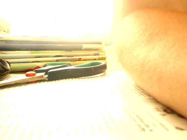 berry252 webcam