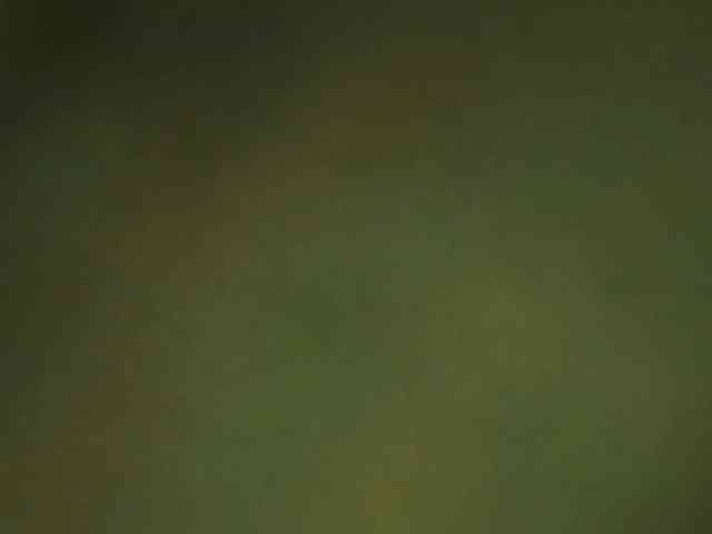 berry252 webcam