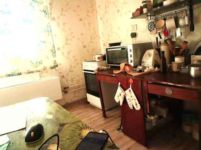 berry252 webcam