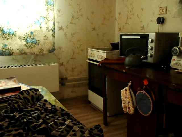 berry252 webcam