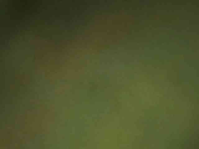 berry252 webcam