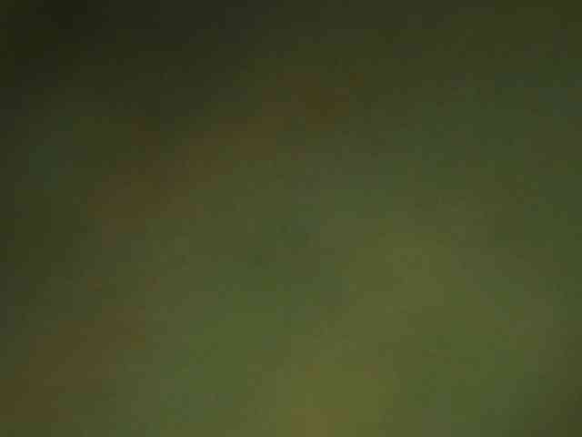 berry252 webcam