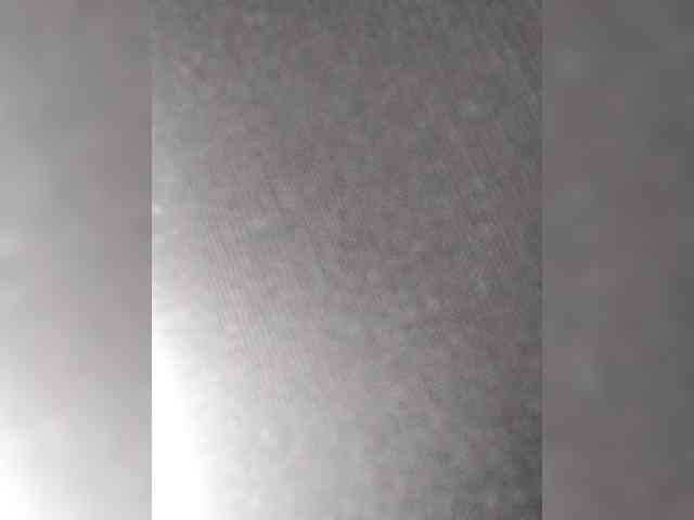 berry252 webcam
