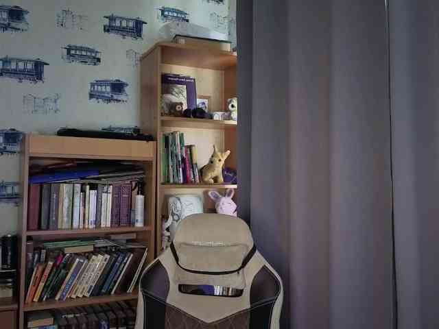 Asura_BeFre webcam