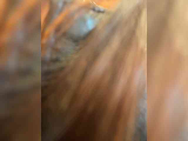 Marianna_ webcam