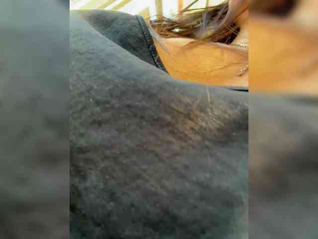 Marianna_ webcam