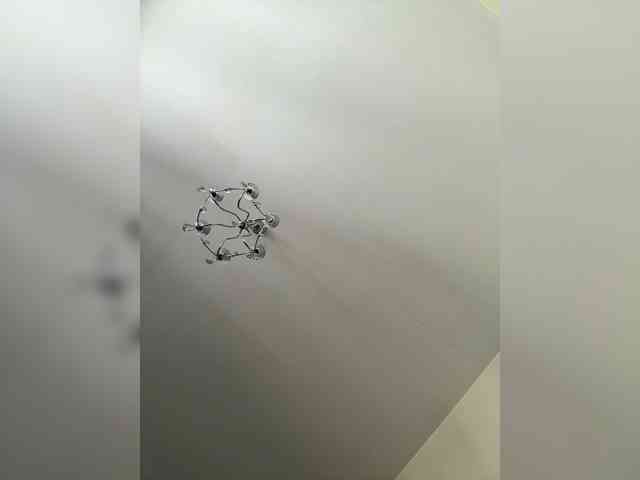 Marianna_