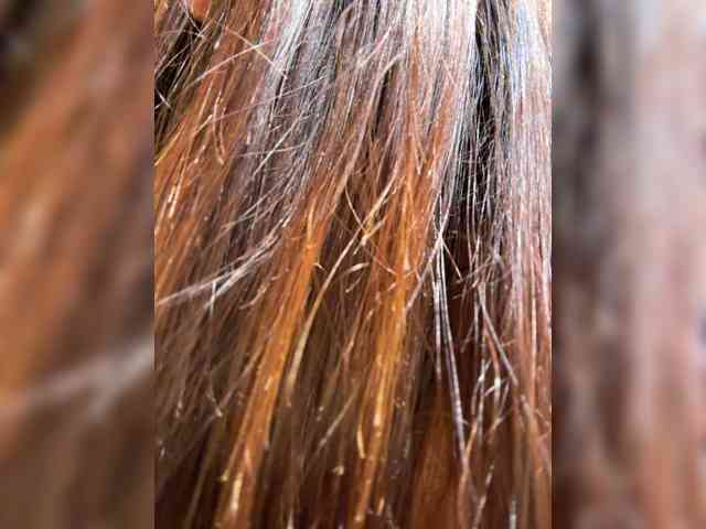 Marianna_ webcam