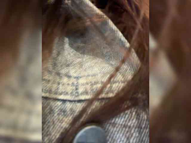 Marianna_ webcam