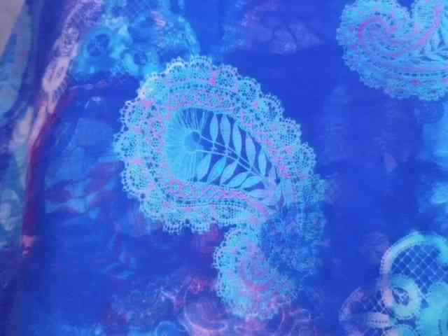 LarisaMaia