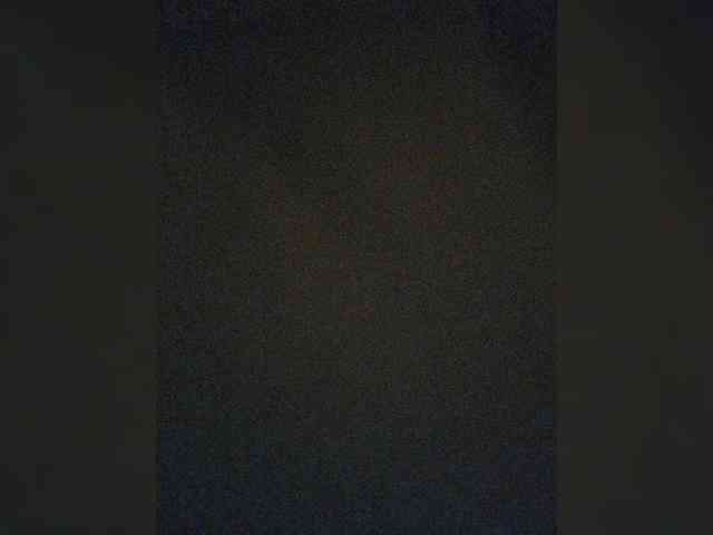 LarisaMaia webcam