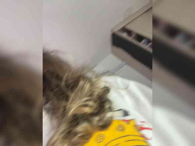 LarisaMaia webcam