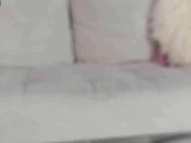 LarisaMaia webcam