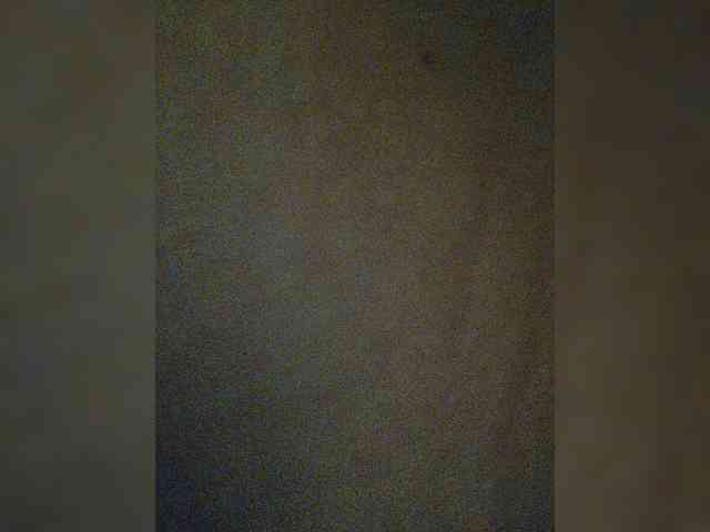 LarisaMaia webcam