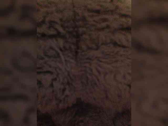 DorisRed webcam