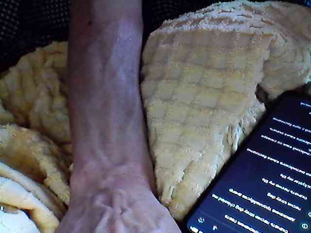 analpassion